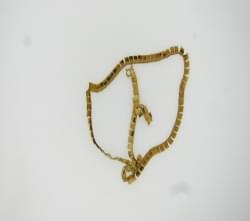 6 dwt, 9.3 grams, 14KT